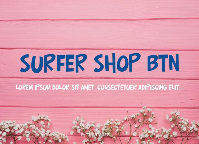 Surfer Shop BTN example